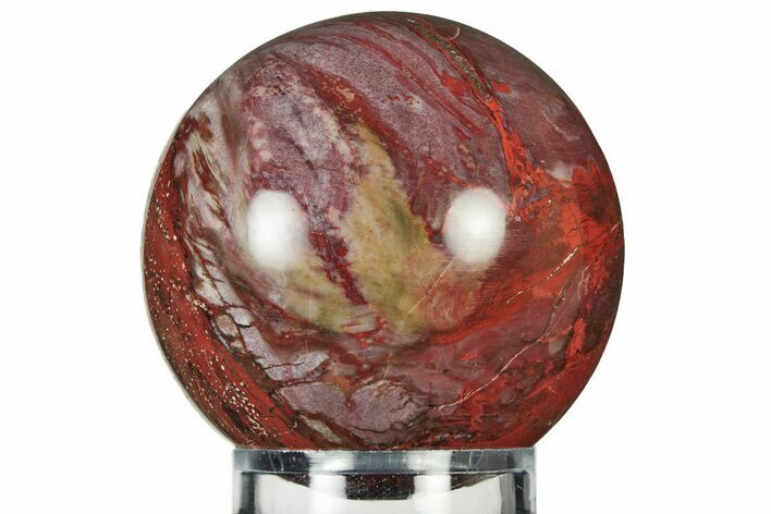 Colorful Petrified Wood (Araucaria) Sphere - Madagascar #237819